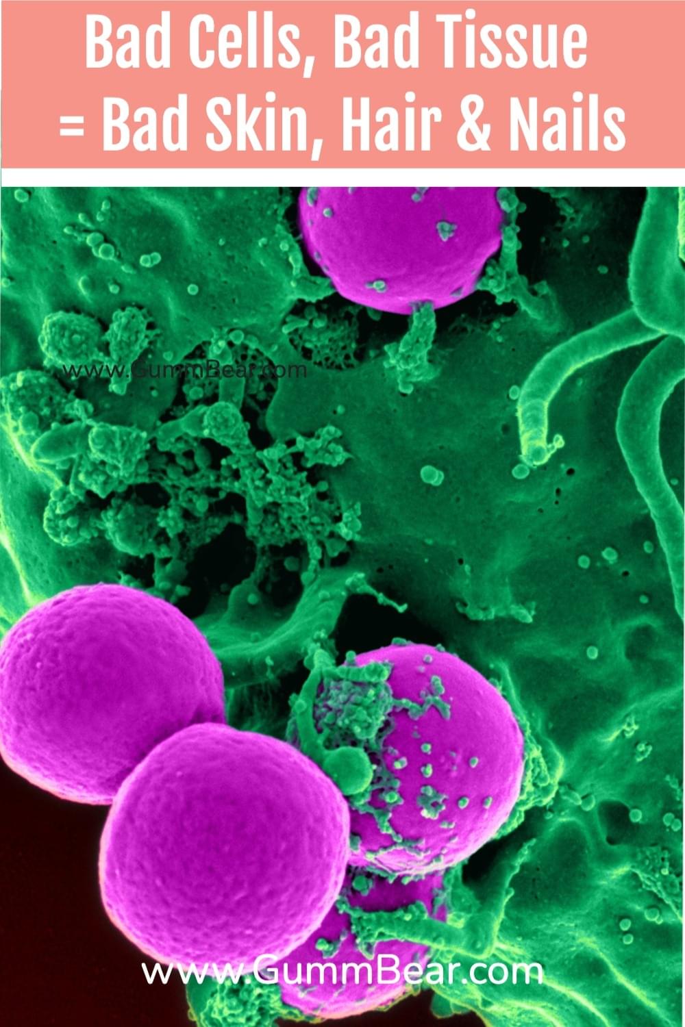 GummBear Advanced Hair Skin And Nails Gummies Bad Cells Bad Tissue Bad Skin Hair & Nails