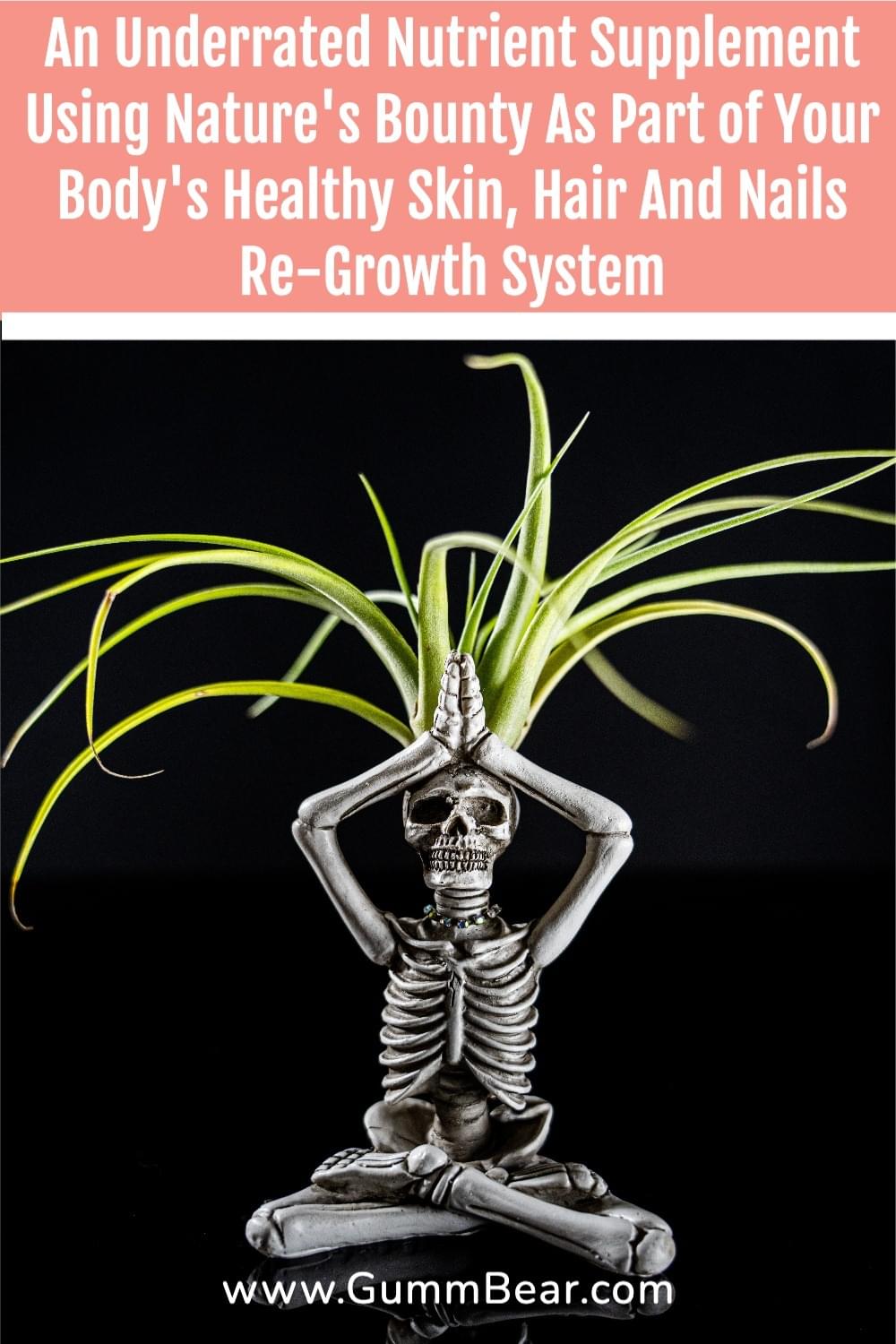 GummBear Advanced Hair Skin And Nails Gummies - An Underrated, Nutrient Supplement Using Nature's Bounty As Part of Your Body Healthy Skin, Hair And Nails Re-Growth System