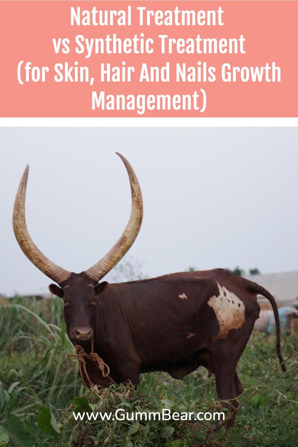 GummBear Advanced Hair Skin And Nails Gummies - Natural Treatment vs Synthetic Treatment for Skin Hair And Nails Growth Management